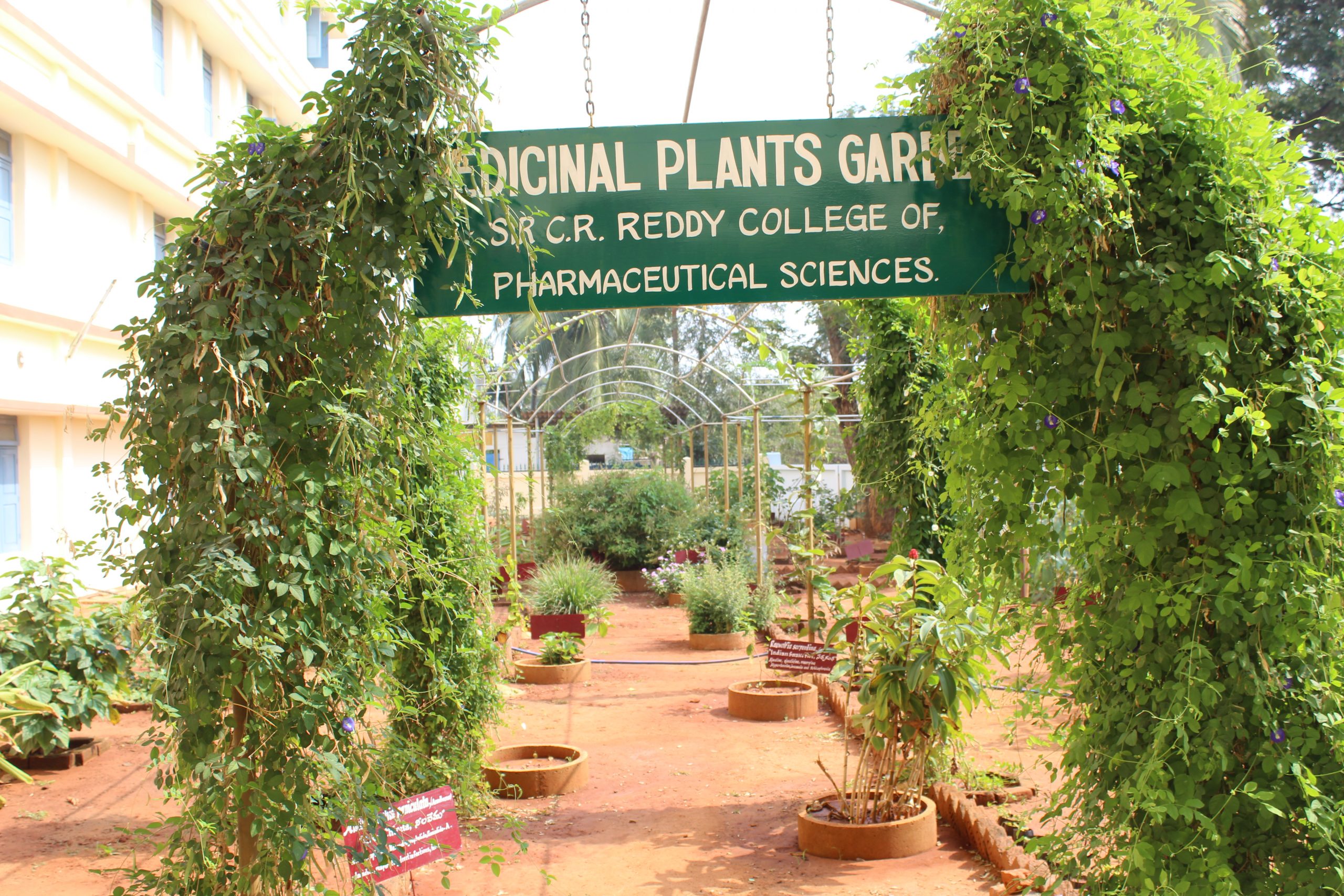 Medicinal Plant Garden